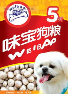 广州印刷设计加工,食品广告等宣传单设计 价格 厂家 图片