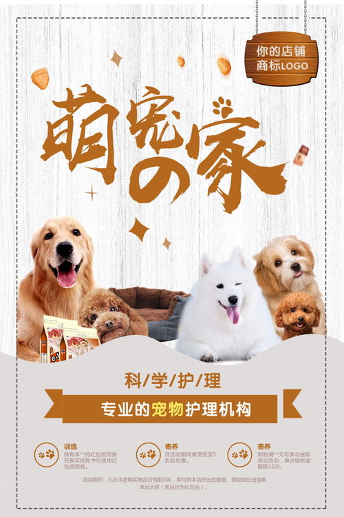 宠物店海报萌宠猫狗狗护理宠物用品宠物美容psd设计模板ps素材 宠物海报