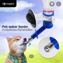 本周五采洽会来袭，泰国宠物衣架订单引爆商机