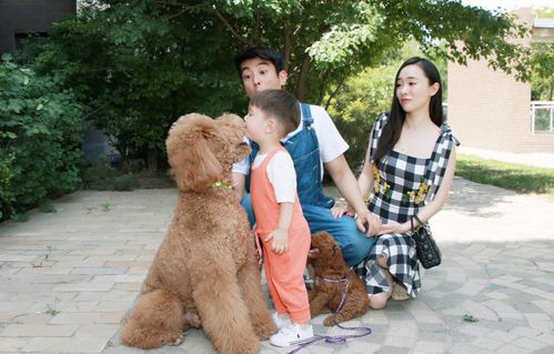 狗狗当“家教” 萌宠叼衣架监督小主人写作业，神似操心老母亲